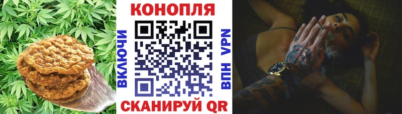 купить   omg зеркало  Canna-Cookies конопля  Карпинск 
