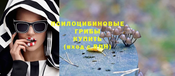 соль курить ск Верхний Тагил