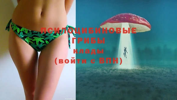 спиды Верея