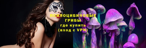 соль курить ск Верхний Тагил