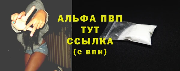спиды Верея
