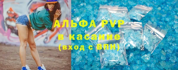 спиды Верея