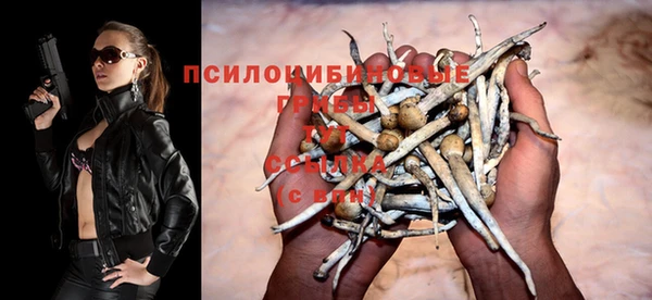 спиды Верея