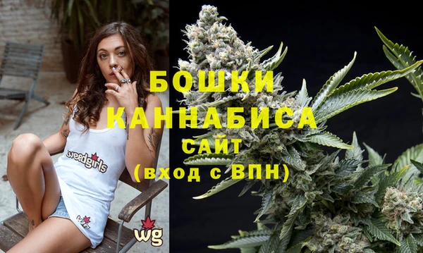 спиды Верея
